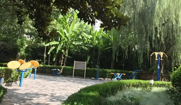 人才入户流程_53岁朱茵住山里开破车？ 住山里开破病史医保卡、记录